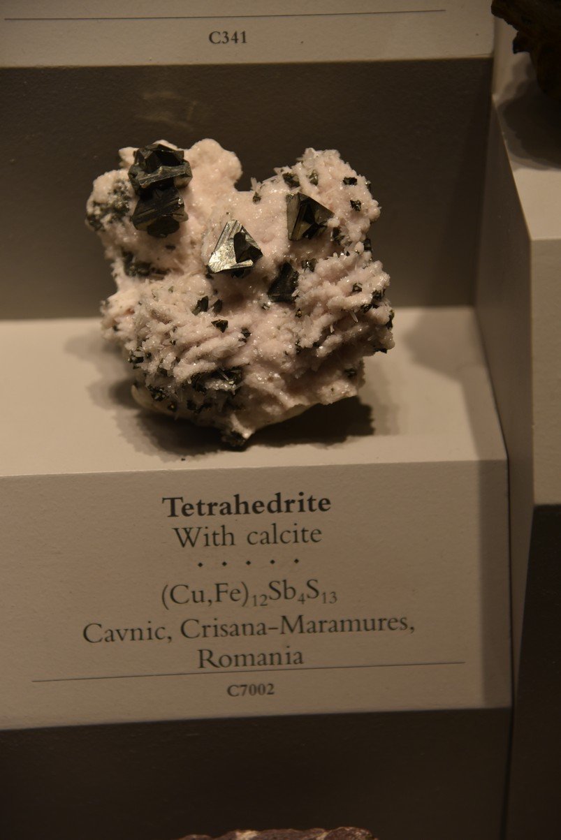 dsc_2230_fs.jpg
