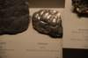 dsc_2233_fs_small.jpg