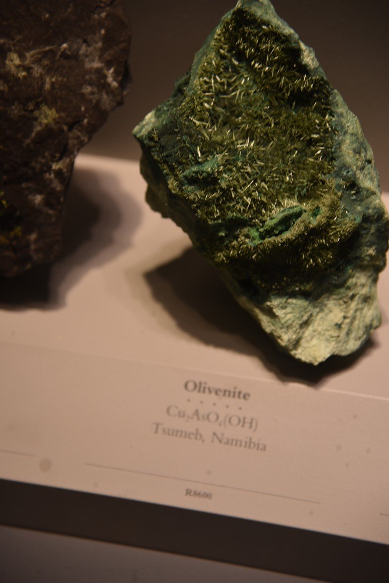 dsc_2236_fs.jpg