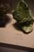 dsc_2236_fs_small.jpg