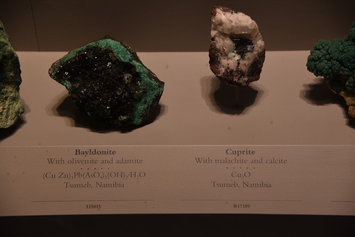 dsc_2237_fs.jpg