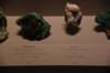dsc_2237_fs_small.jpg