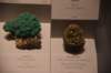 dsc_2238_fs_small.jpg