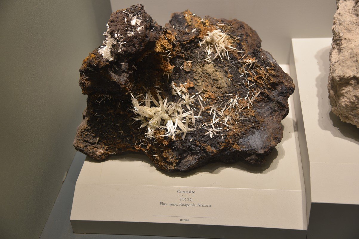 dsc_2245_fs.jpg