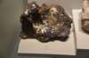 dsc_2245_fs_small.jpg