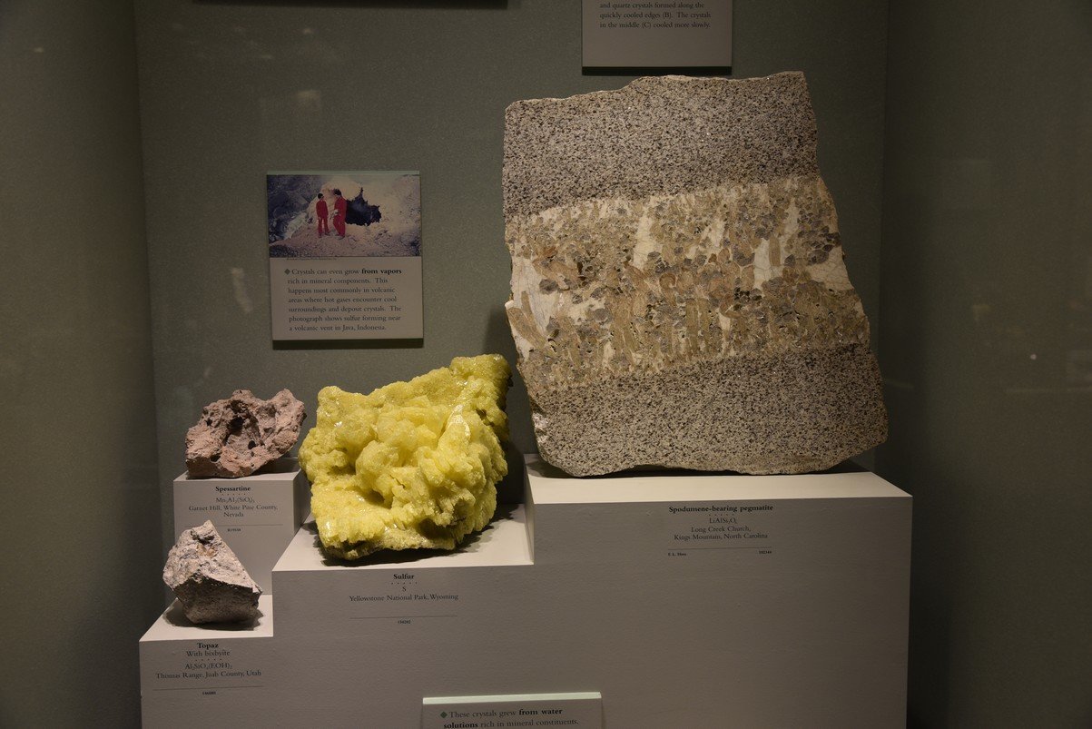 dsc_2247_fs.jpg