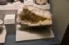dsc_2248_fs_small.jpg