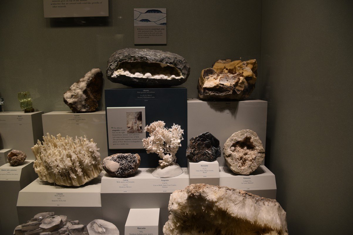 dsc_2249_fs.jpg