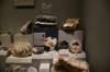dsc_2249_fs_small.jpg
