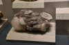 dsc_2250_fs_small.jpg