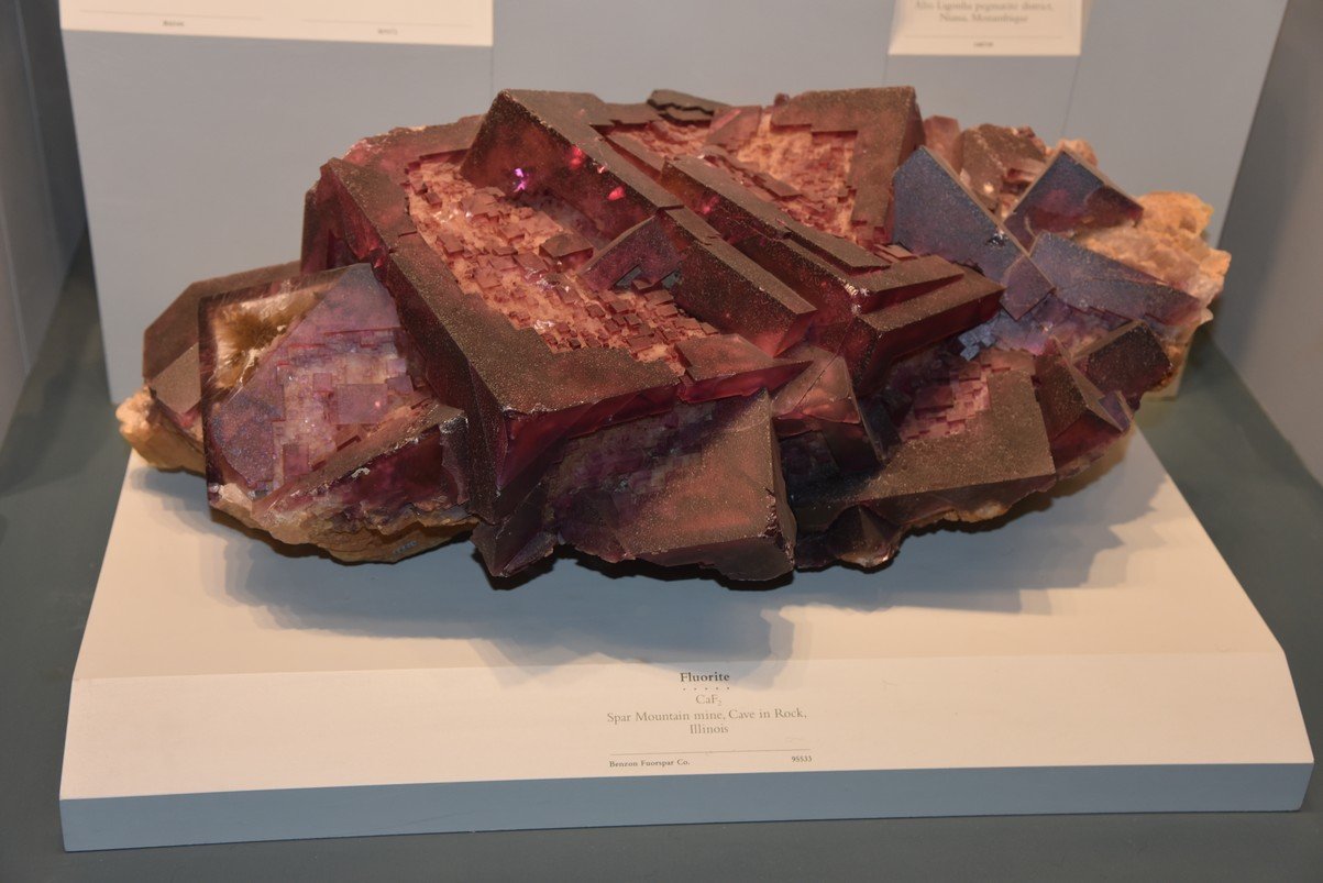 dsc_2251_fs.jpg