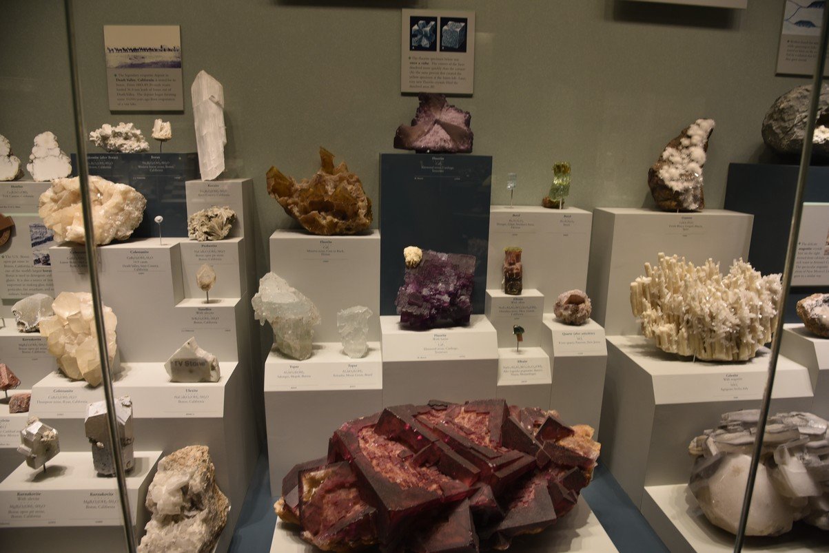 dsc_2252_fs.jpg