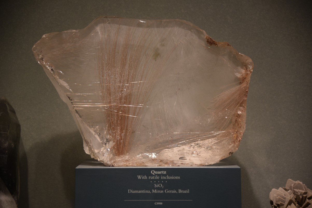 dsc_2261_fs.jpg