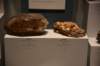 dsc_2262_fs_small.jpg