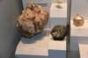 dsc_2264_fs_small.jpg