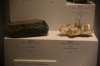 dsc_2265_fs_small.jpg