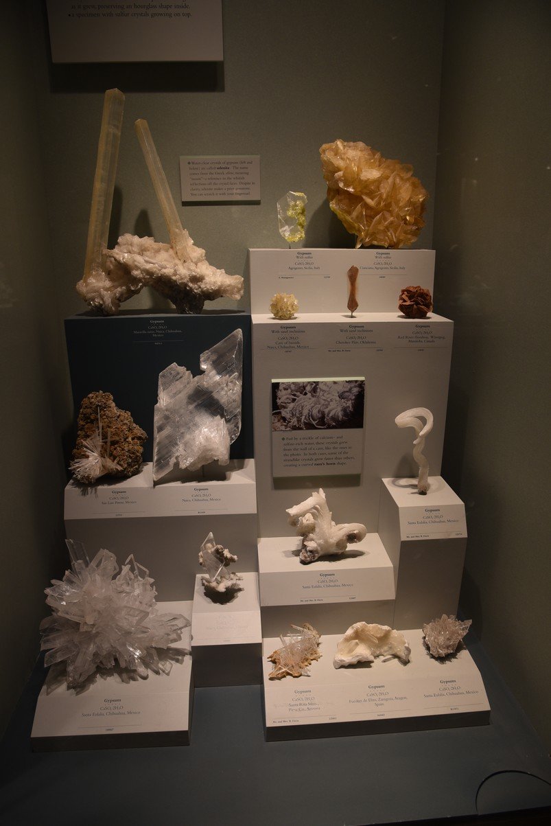 dsc_2266_fs.jpg