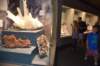 dsc_2268_fs_small.jpg