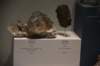 dsc_2274_fs_small.jpg