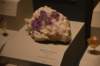 dsc_2276_fs_small.jpg