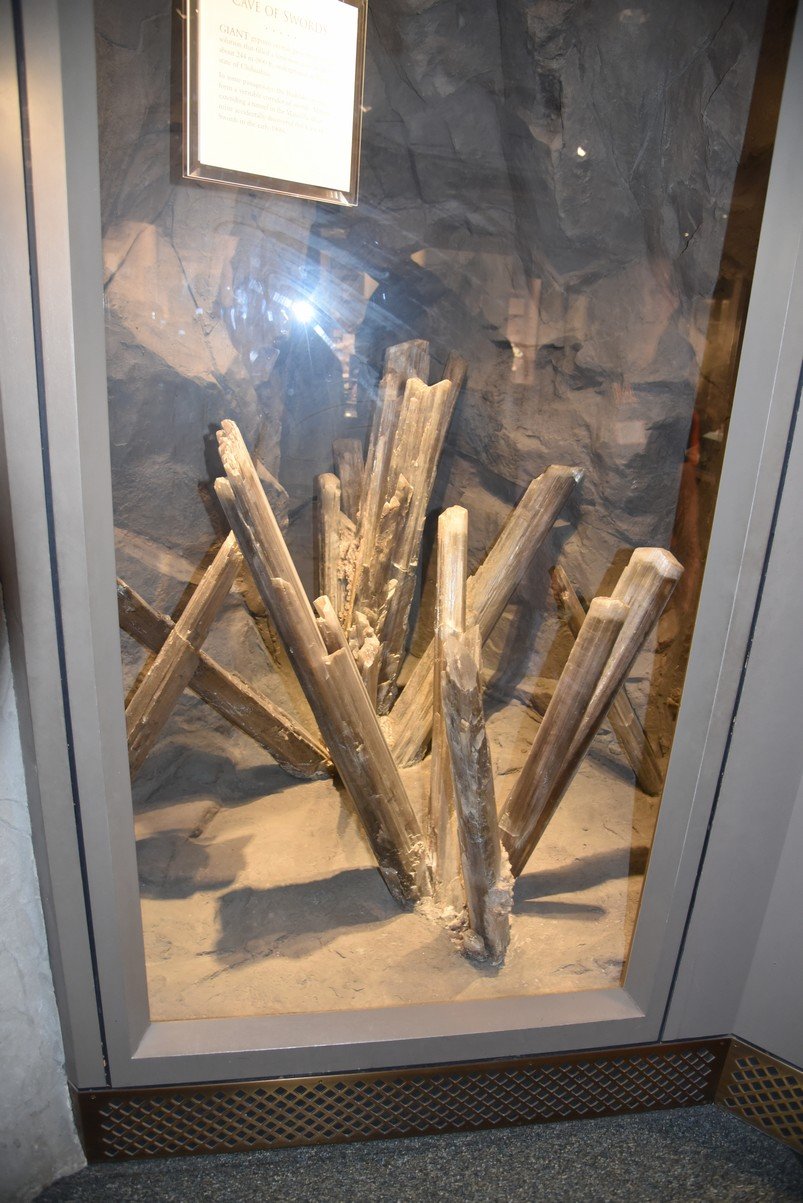 dsc_2279_fs.jpg