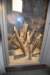 dsc_2279_fs_small.jpg
