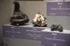 dsc_2286_fs_small.jpg