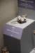 dsc_2287_fs_small.jpg