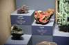 dsc_2300_fs_small.jpg