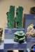 dsc_2301_fs_small.jpg