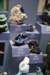dsc_2302_fs_small.jpg