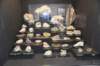 dsc_2306_fs_small.jpg