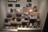 dsc_2308_fs_small.jpg