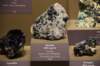 dsc_2317_fs_small.jpg