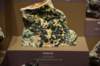 dsc_2318_fs_small.jpg