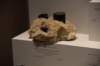 dsc_2326_fs_small.jpg