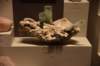 dsc_2333_fs_small.jpg