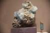 dsc_2335_fs_small.jpg
