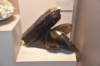 dsc_2339_fs_small.jpg
