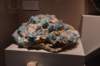 dsc_2340_fs_small.jpg