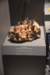 dsc_2343_fs_small.jpg
