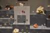 dsc_2347_fs_small.jpg