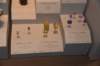 dsc_2378_fs_small.jpg