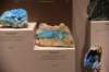 dsc_2384_fs_small.jpg