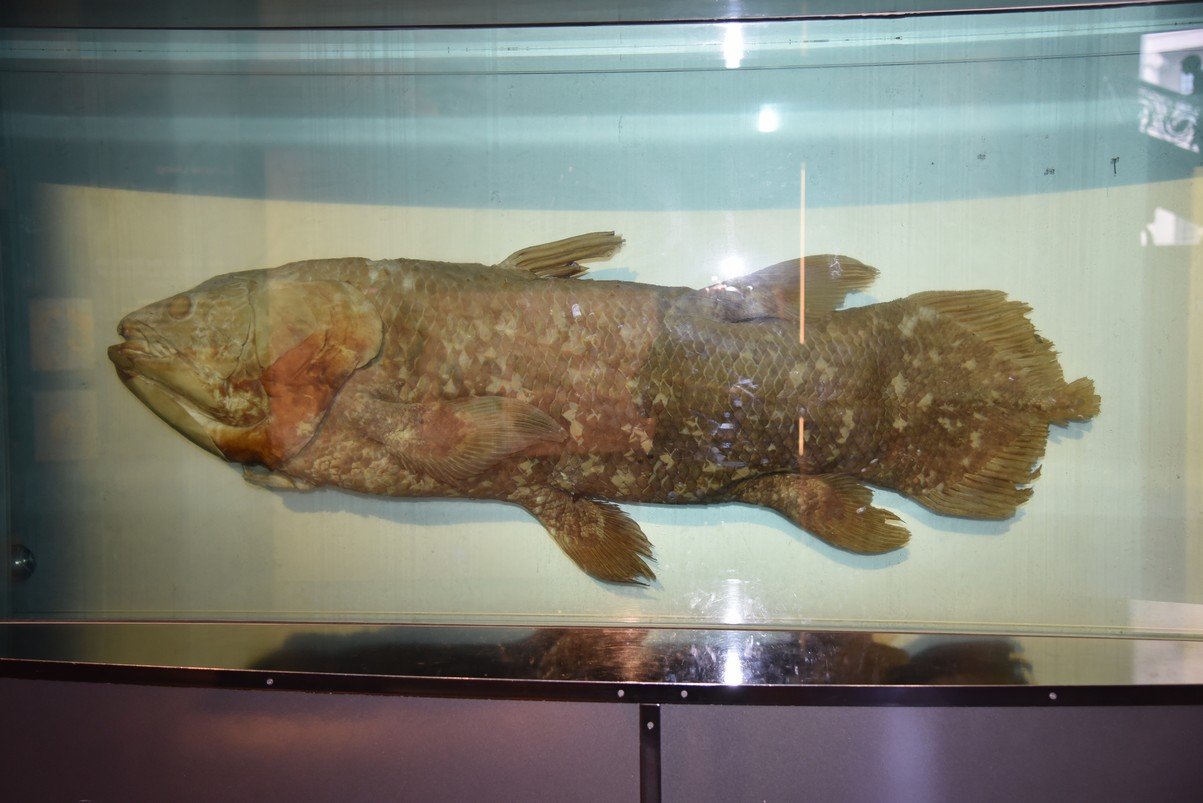 dsc_2511_fs.jpg