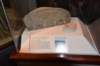 dsc_2555plymouthrock_small.jpg