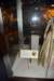 dsc_2559franklinswalkingstick_small.jpg