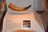 dsc_2562_fs_small.jpg