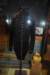 dsc_2675_fs_small.jpg