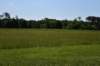 dsc_2960_fs_small.jpg